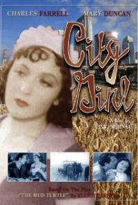 City Girl (1930) movie poster
