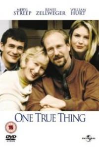 One True Thing (1998) movie poster