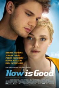 Now Is Good (2012) movie poster