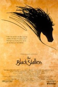 The Black Stallion (1979) movie poster