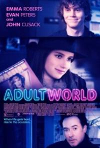 Adult World (2013) movie poster