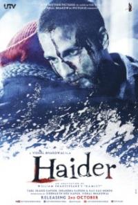 Haider (2014) movie poster
