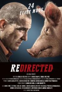 Redirected (2014) movie poster