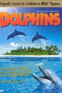 Dolphins (2000) movie poster
