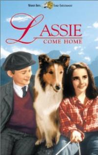 Lassie Come Home (1943) movie poster