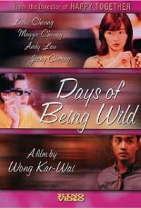 Days of Being Wild (1990) movie poster