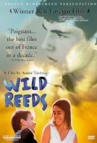Wild Reeds (1994) movie poster
