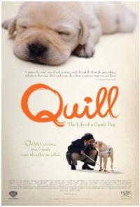 Quill: The Life of a Guide Dog (2004) movie poster