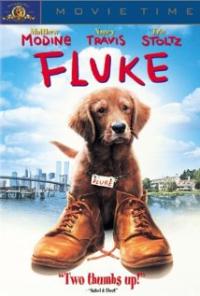 Fluke (1995) movie poster