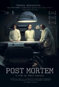 Post Mortem (2010) movie poster