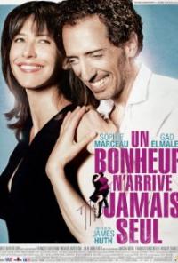 Un bonheur n'arrive jamais seul (2012) movie poster