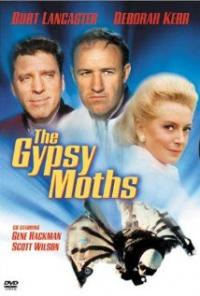 The Gypsy Moths (1969) movie poster