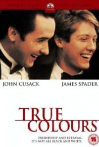 True Colors (1991) movie poster