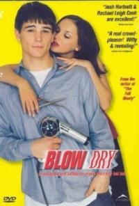 Blow Dry (2001) movie poster