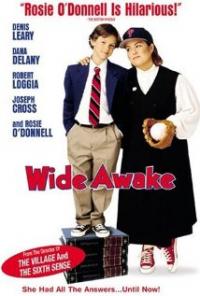 Wide Awake (1998) movie poster
