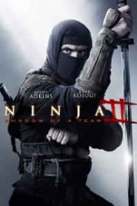 Ninja: Shadow of a Tear (2013) movie poster