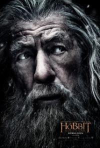 The Hobbit: The Battle of the Five Armies (2014) movie poster