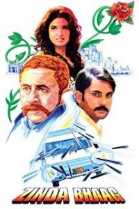 Zinda Bhaag (2013) movie poster