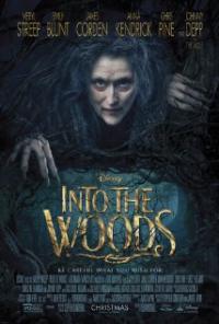 Into the Woods (2014) movie poster