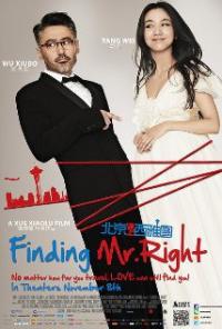 Finding Mr. Right (2013) movie poster