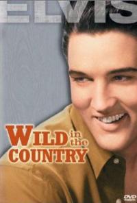 Wild in the Country (1961) movie poster