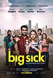 The Big Sick (2017) movie poster