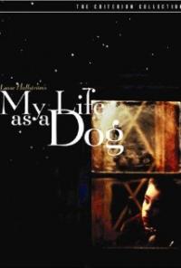 My Life as a Dog (1985) movie poster
