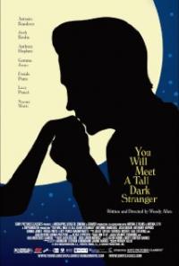 You Will Meet a Tall Dark Stranger (2010) movie poster