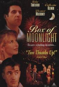 Box of Moon Light (1996) movie poster