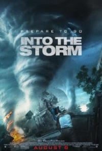 Into the Storm (2014) movie poster