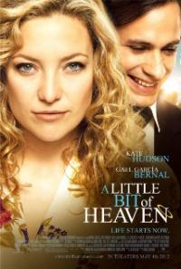 A Little Bit of Heaven (2011) movie poster