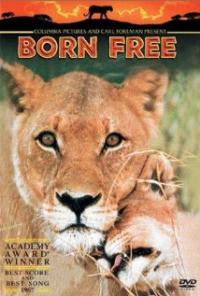 Born Free (1966) movie poster
