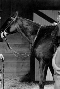 Kentucky (1938) movie poster