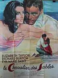 The Sandpiper (1965) movie poster