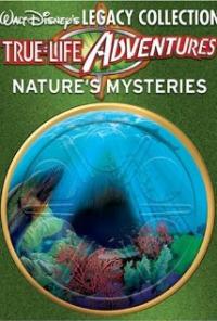 Perri (1957) movie poster