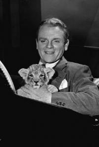 Come Fill the Cup (1951) movie poster