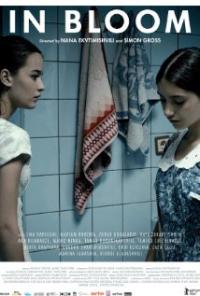 Grzeli nateli dgeebi (2013) movie poster