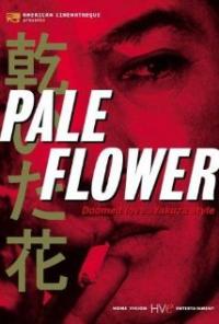 Kawaita hana (1964) movie poster