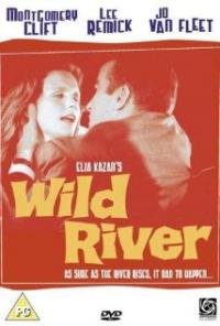 Wild River (1960) movie poster