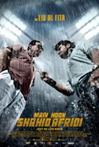Main Hoon Shahid Afridi (2013) movie poster