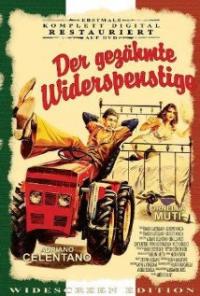 Il bisbetico domato (1980) movie poster