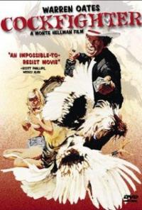 Cockfighter (1974) movie poster