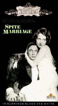 Spite Marriage (1929) movie poster