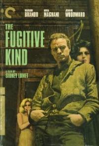 The Fugitive Kind (1960) movie poster