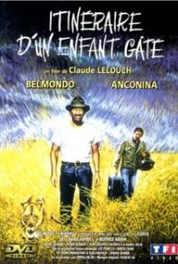 Itineraire d'un enfant gâte (1988) movie poster