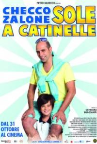 Sole a catinelle (2013) movie poster
