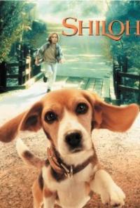 Shiloh (1996) movie poster