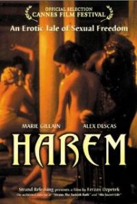 Harem suare (1999) movie poster