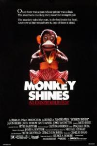 Monkey Shines (1988) movie poster