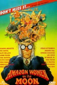 Amazon Women on the Moon (1987) movie poster
